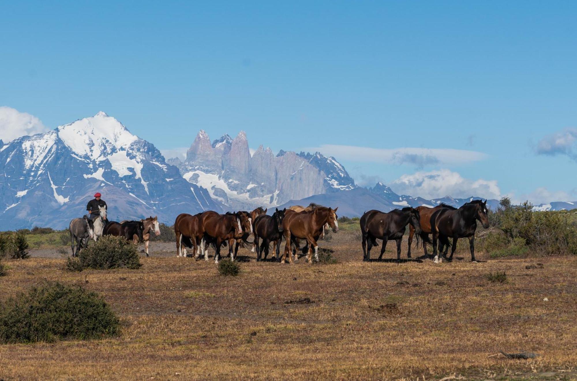 Estancia Cerro Guido Торрес-дель-Пайне Экстерьер фото